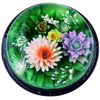 10 VNT./SET 3D Gėlės Lapų Želė Meno Įrankiai Jello Meno Želatina Įrankiai Pudingas Antgalis Žiedlapis Modelio Apdailos Priemonė Karšto