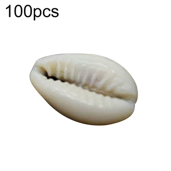 100vnt White Sea Shell 