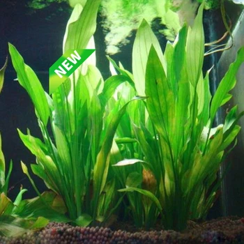 1PCS Dirbtinės Plastikinės Vandens Augalų Žolės Akvariumo Dekoracijos, Augalai, Žuvys Bakas Žolės Gėlių Ornamentu Dekoro Vandens Priedai