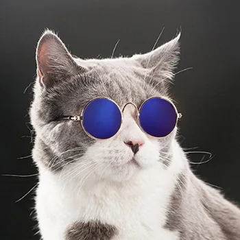 Gražus Naminių Kačių Akiniai Akis nešioti Akinius nuo saulės, Mažųjų Šunų Kačių Augintinių Nuotraukas Rekvizitai Priedai populiariausi Pet products