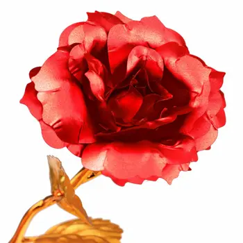 Karšto Pardavimo 24K Auksu Rožių Gėlių Valentino Dienos Dovana Vestuvių Annivsary Gimtadienio Romantiška 