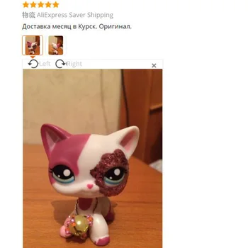 Lps katė nekilnojamojo pet shop žaislai #2291 trumpų plaukų katė su priedais Sparkle Akys Rausvos spalvos, retas Balta Katytė Pav vaikams dovanų