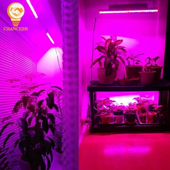 T5 LED auginimo šviesos akvariumas LED lempos, didelio efektyvumo ir energijos taupymo kompensuoti šviesos vazoninių augalų sėja daržovės, vaisiai