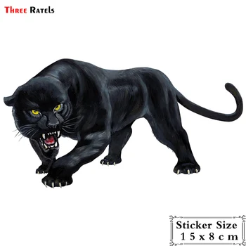 Trys Ratels TRL570# 15X8cm gyvūnų lipdukas Black panther riaumojimas spalvinga juokinga, automobilių lipdukai ir lipdukai, auto optikos nuimamas